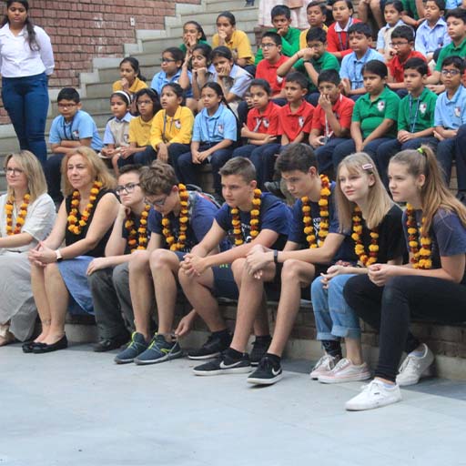 International Dimensions