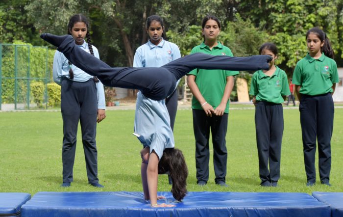 A Wide Spectrum of Sports