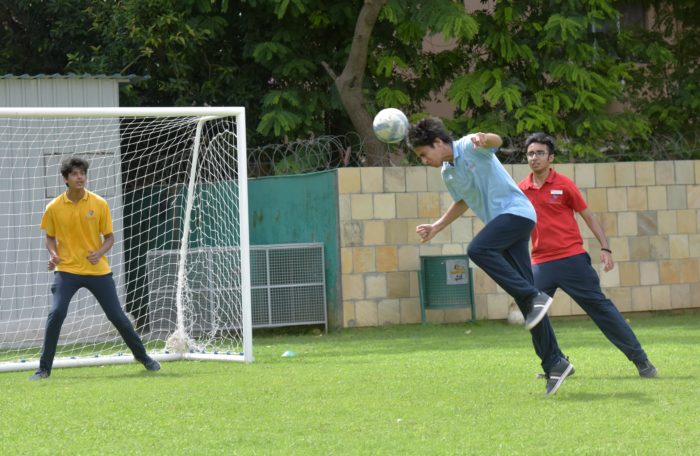 Diverse and Well-Maintained